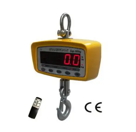 Click Here To Enlarge This Photo Of EVERIGHT OCS-SP MID-RANGE CRANE SCALE