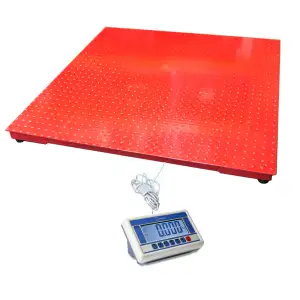 CSG BR SERIES PLATFORM SCALE